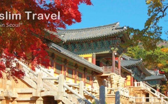 Korea Muslim Travel