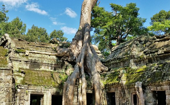 Ta Prohm Temple, Cambodia