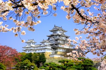 CherryBlossomOsakaCastle: Japan-Tokyo