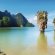 Last minute Thailand Holidays all Inclusive