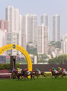 Horses racing at Happy Valley racecourse, Hong Kong