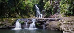 South East Queensland: Lamington National Park