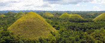 These are the famous Chocolate Hills of Bohol, the island's top tourist attraction.
