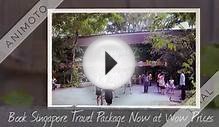 Get best Singapore travel packages with Tripsbank